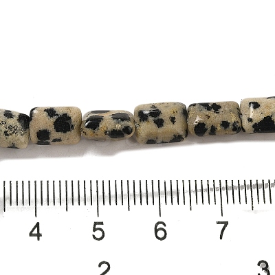 Natural Dalmatian Jasper Beads Strands G-G085-A13-01-1