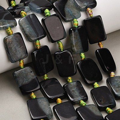 Natural Agate Beads Strands G-A321-A01-01B-1