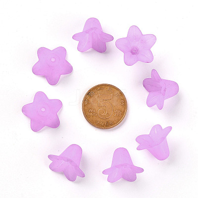 Transparent Acrylic Beads PLF018-04-1