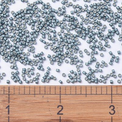 MIYUKI Delica Beads SEED-X0054-DB1172-1