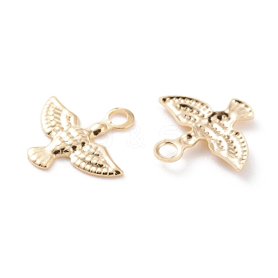 Brass Charms KK-Y003-31G-1