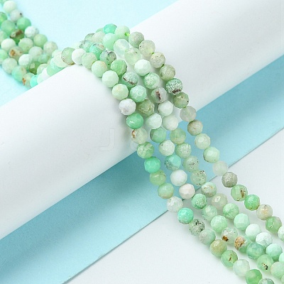 Natural Chrysoprase Beads Strands G-F748-X01-03B-1