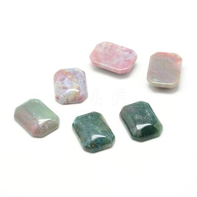 Natural Indian Agate Gemstone Cabochons G-T028-18x25mm-06-1