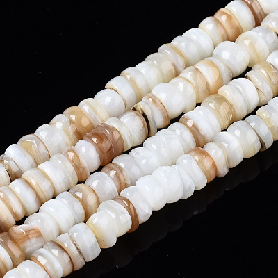 Natural Freshwater Shell Beads Strands SHEL-T018-28-1