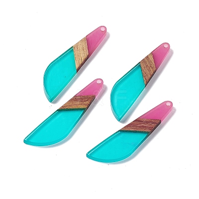 Transparent Resin & Walnut Wood Big Pendants RESI-M027-07G-1