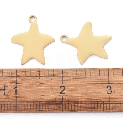 304 Stainless Steel Pendants LS-STAS-I140-13G-1