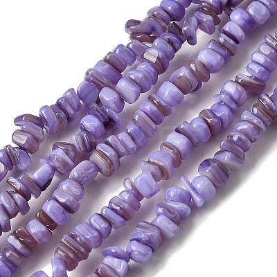 Natural Freshwater Shell Beads SHEL-B003-01L-1
