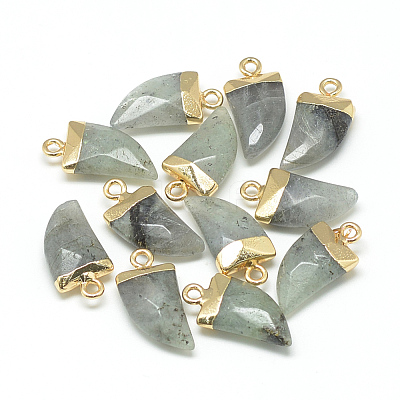 Natural Labradorite Pointed Pendants X-G-Q966-02-1