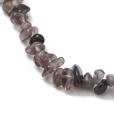 Natural Gemstone Beads Anklets AJEW-AN00583-08-1