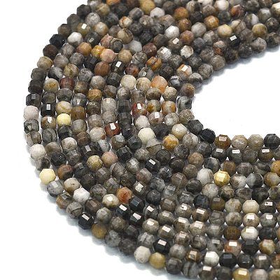 Natural Larvikite Beads Strands G-A260-A23-01-1