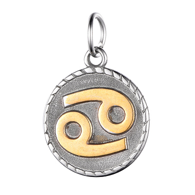 316 Surgical Stainless Steel Pendants STAS-S045-40-1
