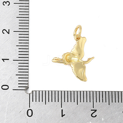 Brass Pendants KK-L245-09G-1