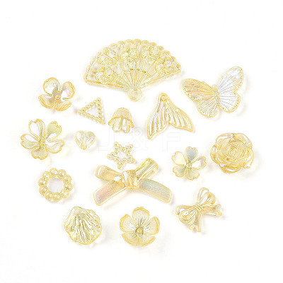 Transparent Acrylic Beads OACR-N137-73F-1