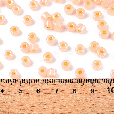 Glass Seed Beads SEED-T008-01C-1