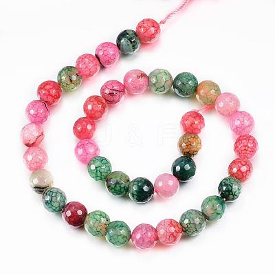 Natural Agate Bead Strands G-G882-10mm-C07-2-1