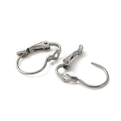 316 Surgical Stainless Steel Leverback Earring Findings STAS-WH0022-73A-1