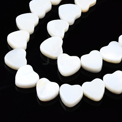 Natural Freshwater Shell Beads Strands X-SHEL-N026-152-1