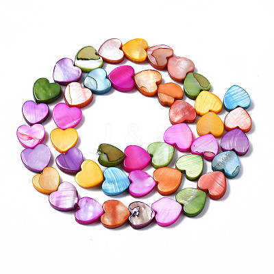 Natural Freshwater Shell Beads Strands X-SHEL-S278-024A-1