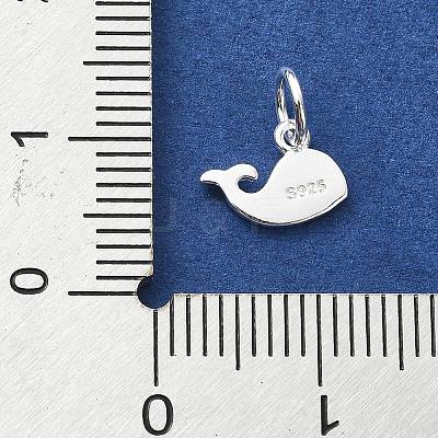 925 Sterling Silver Charms STER-M119-09A-S-1