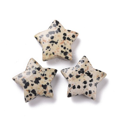 Natural Dalmatian Jasper Beads G-P469-12A-04-1