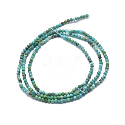 Natural HuBei Turquoise Beads Strands G-A177-04-15-1