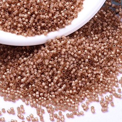 MIYUKI Delica Beads X-SEED-J020-DB2172-1