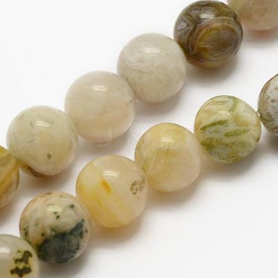 Natural Bamboo Leaf Agate Beads Strands G-K194-6mm-01-1