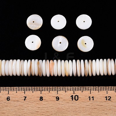 Natural Freshwater Shell Beads Strands X-SSHEL-T017-02-1