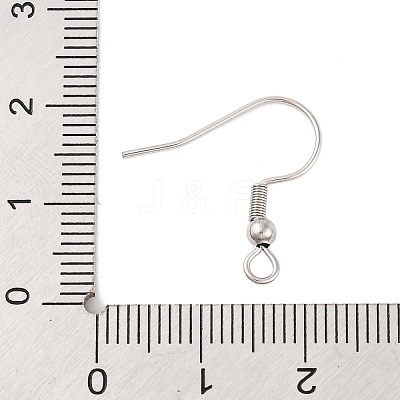 Tarnish Resistant 304 Stainless Steel Earring Hooks STAS-H011-1