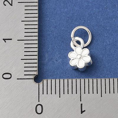 S925 Sterling Silver Pendant STER-H115-08E-S-1