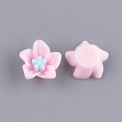 Resin Cabochons CRES-T010-29C-1