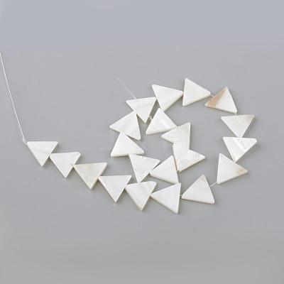 Natural Freshwater Shell Beads Strands SHEL-Q008-40-1
