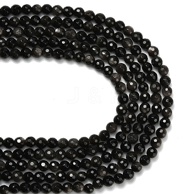Natural Silver Obsidian Beads Strands G-C280-B08-6mm-1