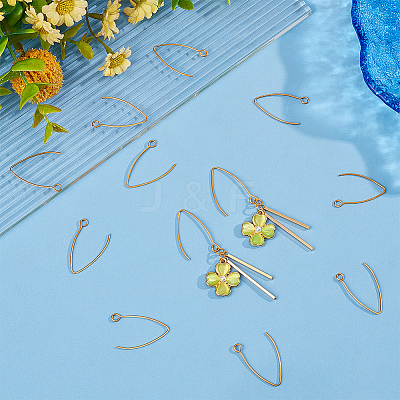 50Pcs Ion Plating(IP) 304 Stainless Steel Earring Hooks STAS-UN0058-58-1