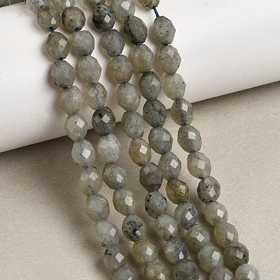Natural Labradorite Beads Strands G-K376-F07-01-1