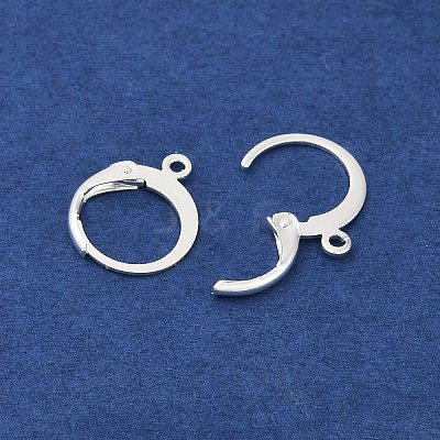 316L Surgical Stainless Steel Leverback Earring Findings STAS-F075-38S-1