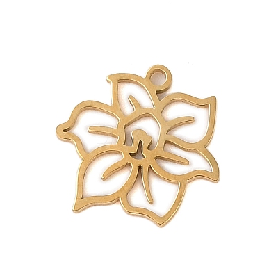 304 Stainless Steel Pendants STAS-S139-06G-10-1