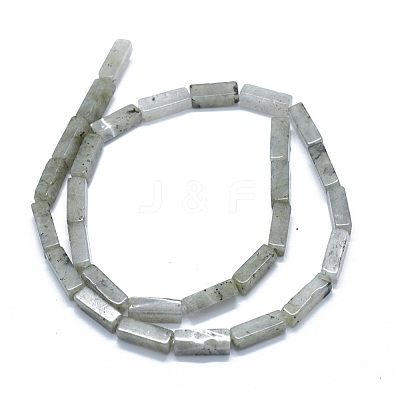Natural Labradorite Beads Strands G-F631-E22-1