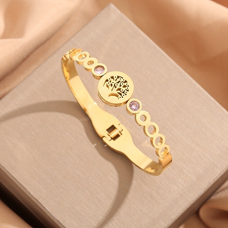 Stainless Steel Hinged Bangles for Women PW-WG0F91F-01-1