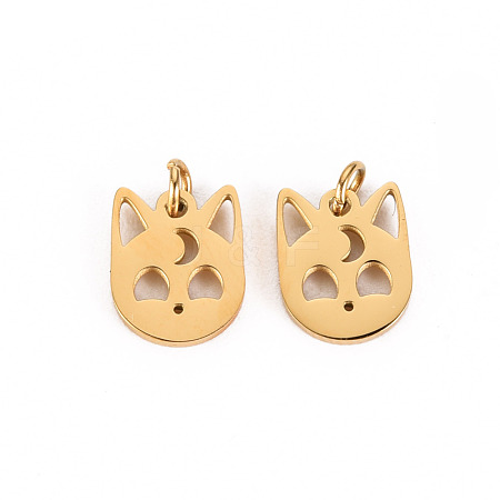 304 Stainless Steel Charms STAS-S116-141G-1