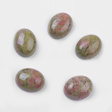 Natural Unakite Cabochons G-10x8x4-1