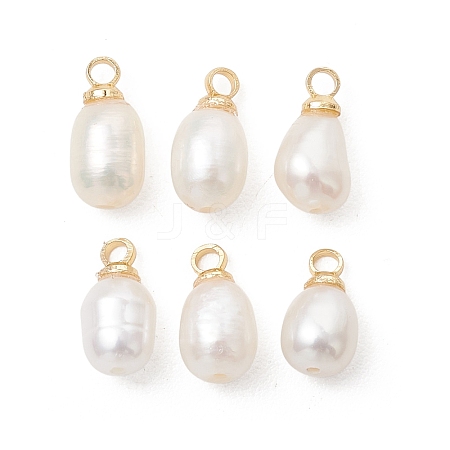 Natural Cultured Freshwater Pearl Pendants PALLOY-JF05438-01-1