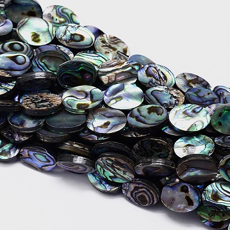 Natural Paua Shell Beads Strands SSHEL-J047-14B-01-1