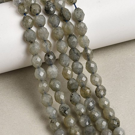 Natural Labradorite Beads Strands G-K376-F07-01-1