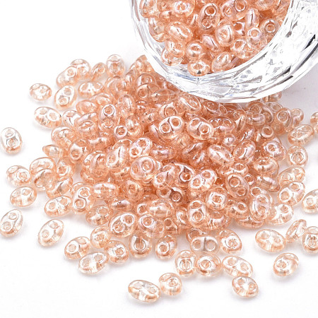 Transparent Czech Glass Seed Beads SEED-N004-005-C06-1