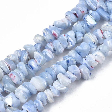 Natural Freshwater Shell Beads Strands SHEL-N003-23-B02-1