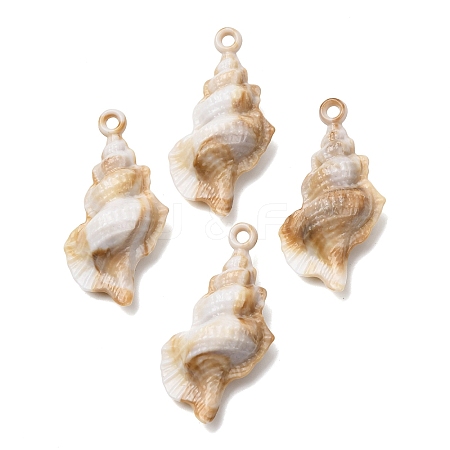 Imitation Shell Acrylic Pendants SACR-K005-07B-1