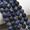 Natural Sodalite Beads Strands G-Q462-8mm-07-7