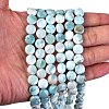 Natural Larimar Beads Strands G-F675-08-3