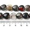 Natural African Bloodstone Beads Strands G-B022-35C-5